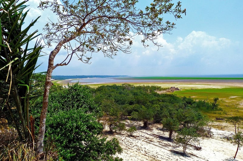 Amazonia